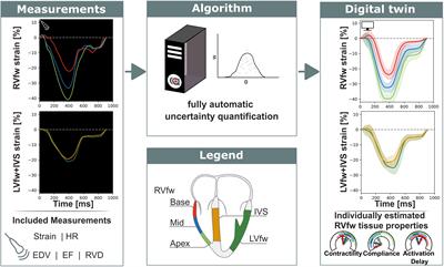 Uncertainty Quantification of Regional Cardiac Tissue Properties in Arrhythmogenic Cardiomyopathy Using Adaptive Multiple Importance Sampling